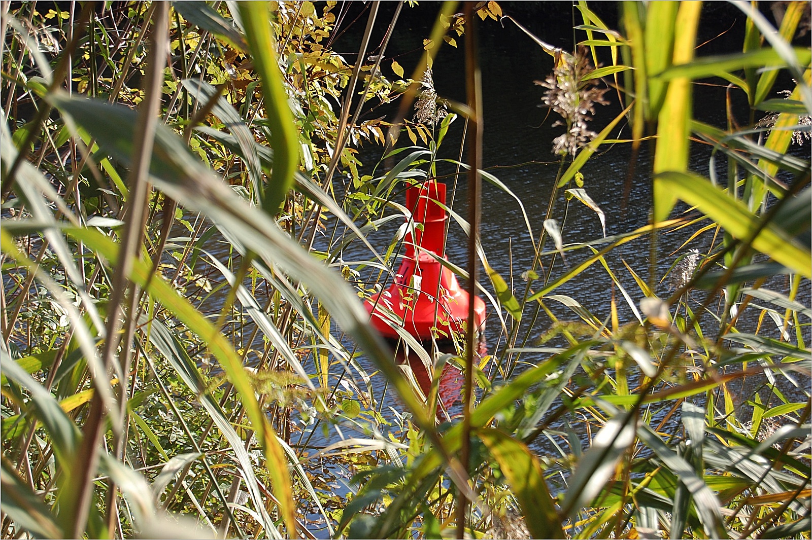 die rote Boje