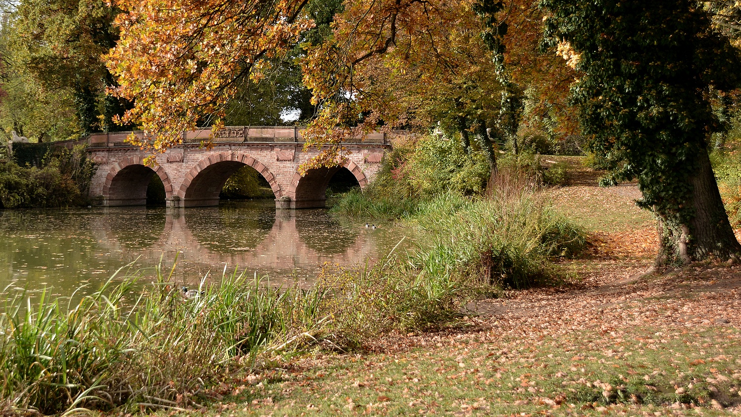 Die rote Brücke...