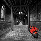 die rote Ducati mit Durchblick .....