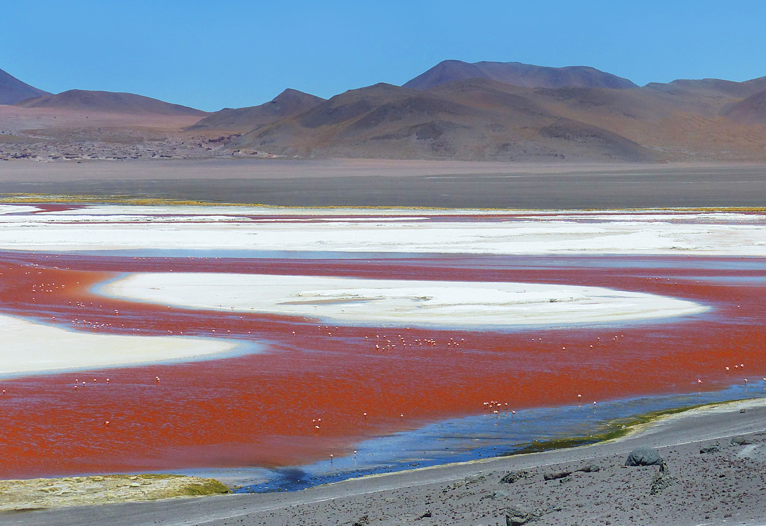 Die rote Lagune