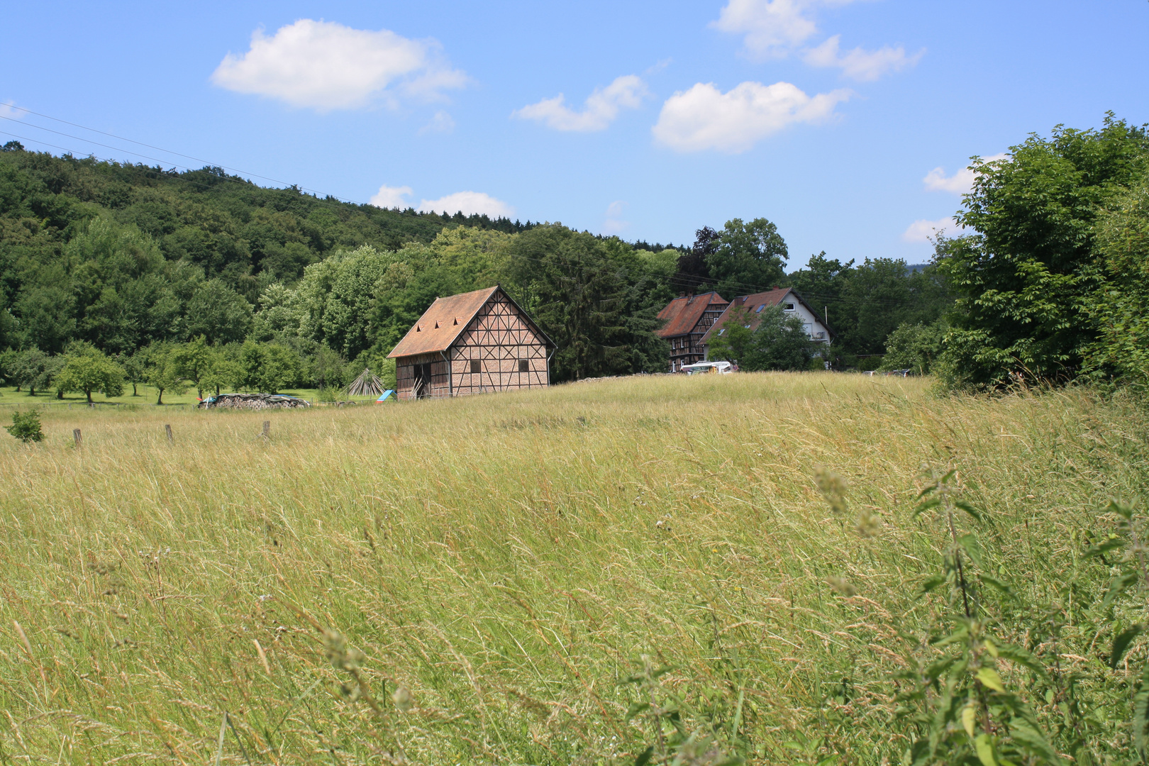Traditional New Year’s walk to Rote Mühle
