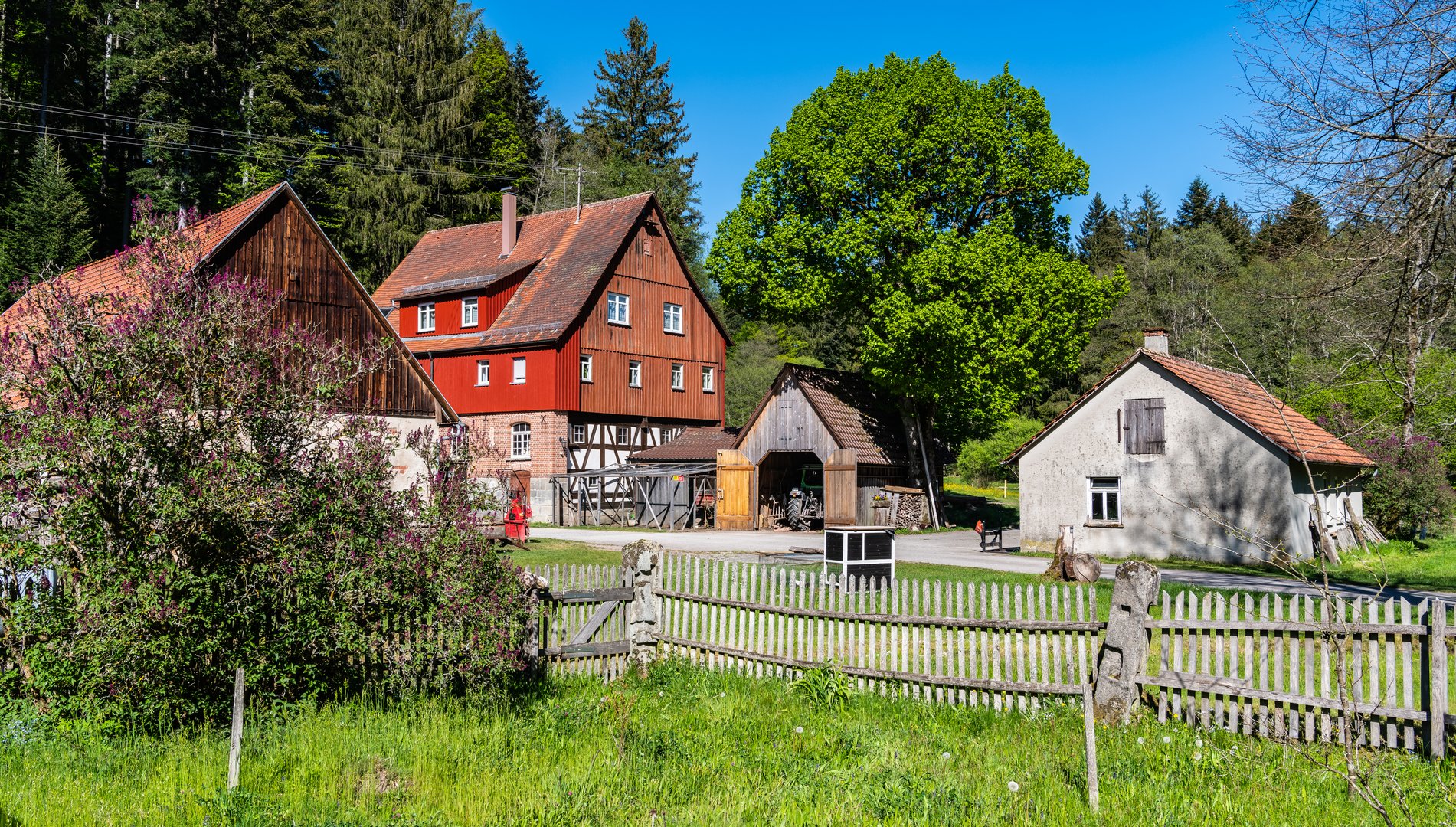 Die rote Mühle