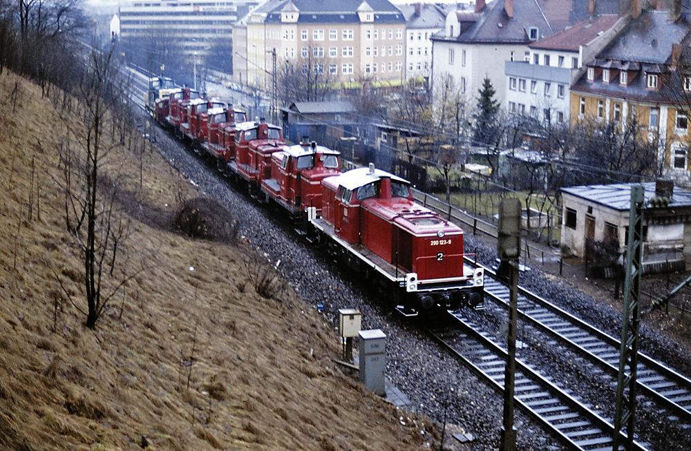 die rote Schlange