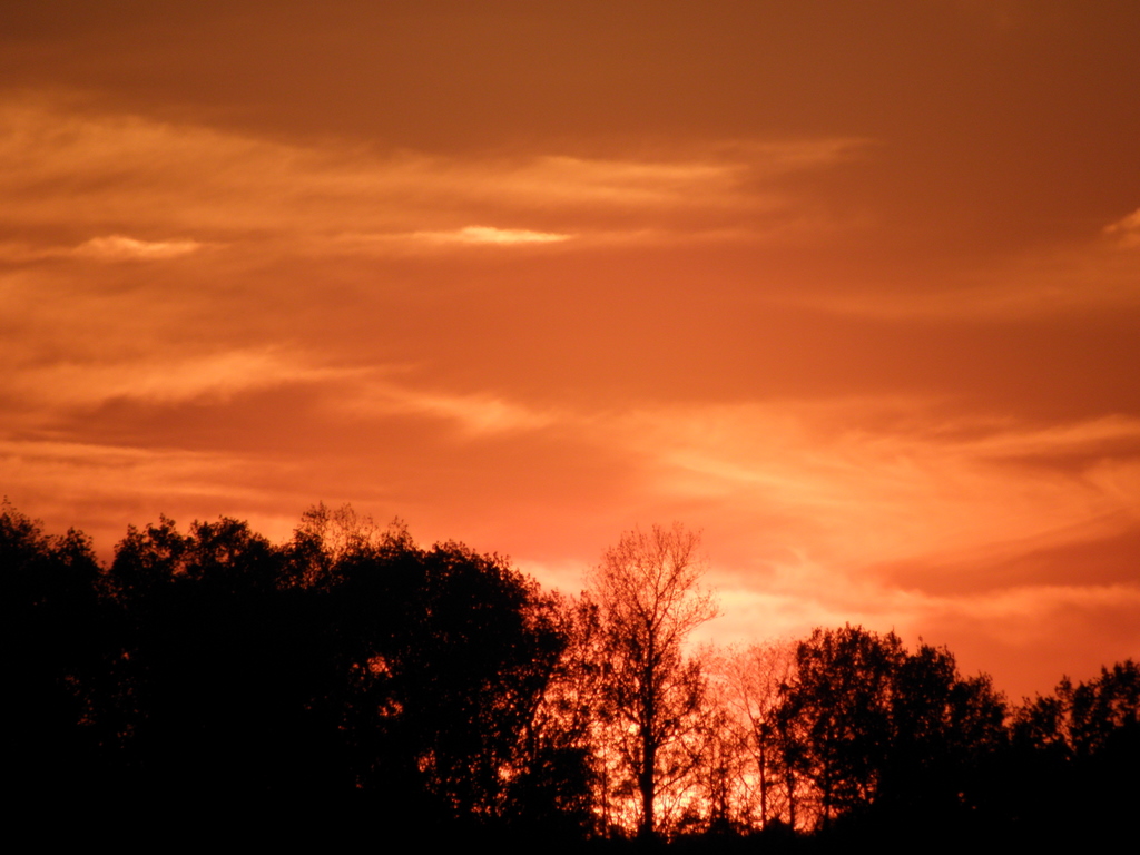 Die rote Sonne von Barbados...