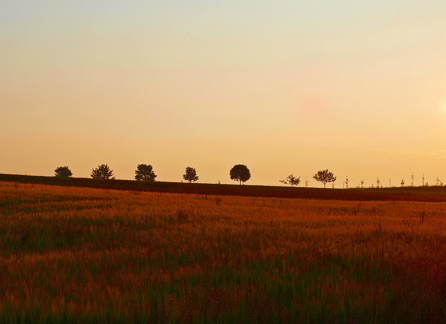 Die "Rote Stunde"