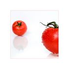 die rote Tomate