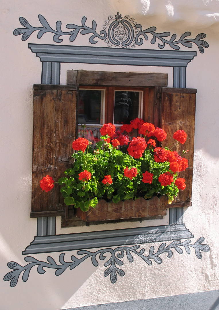 Die rote vorm Fenster