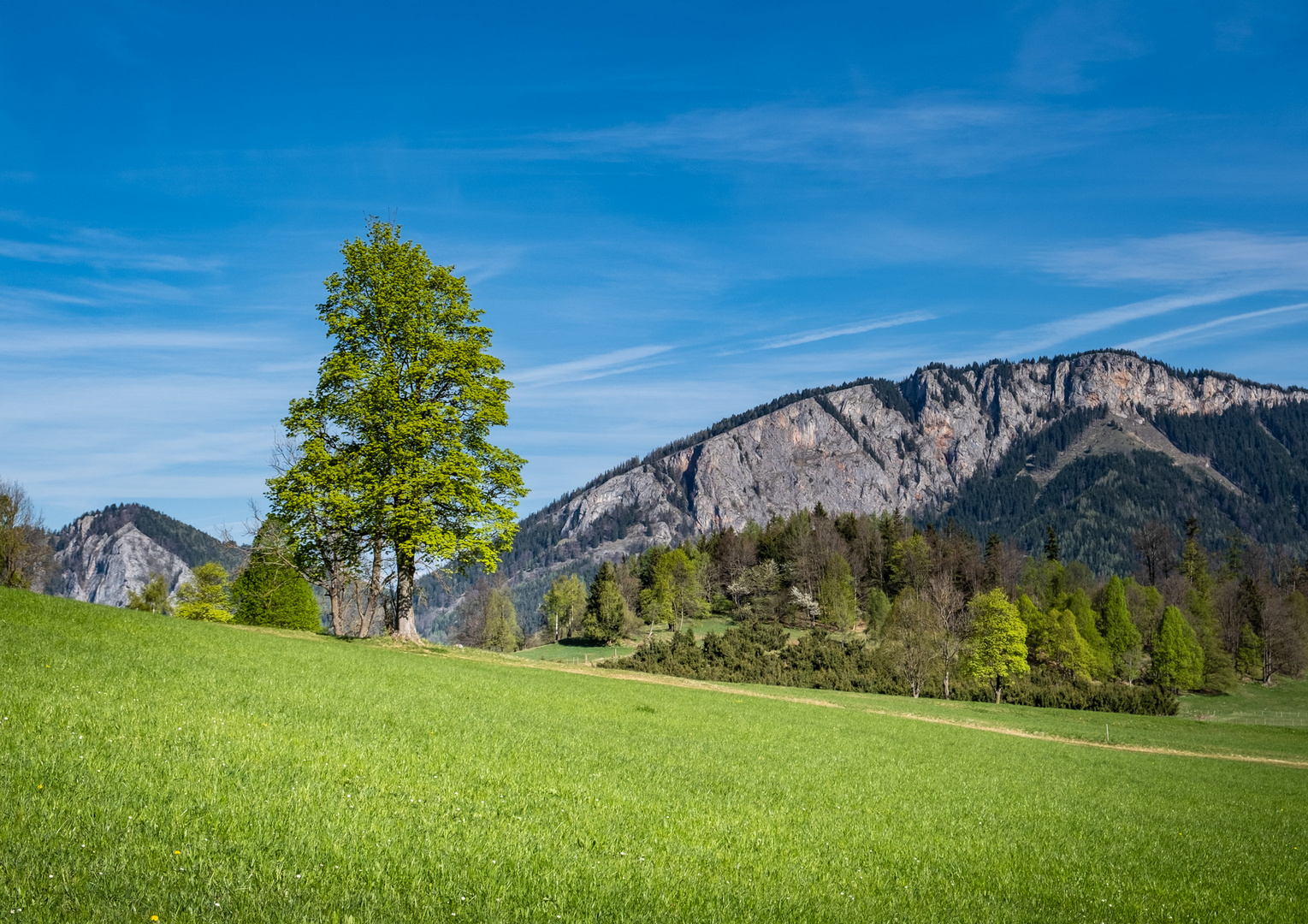 Die rote Wand (1505m)