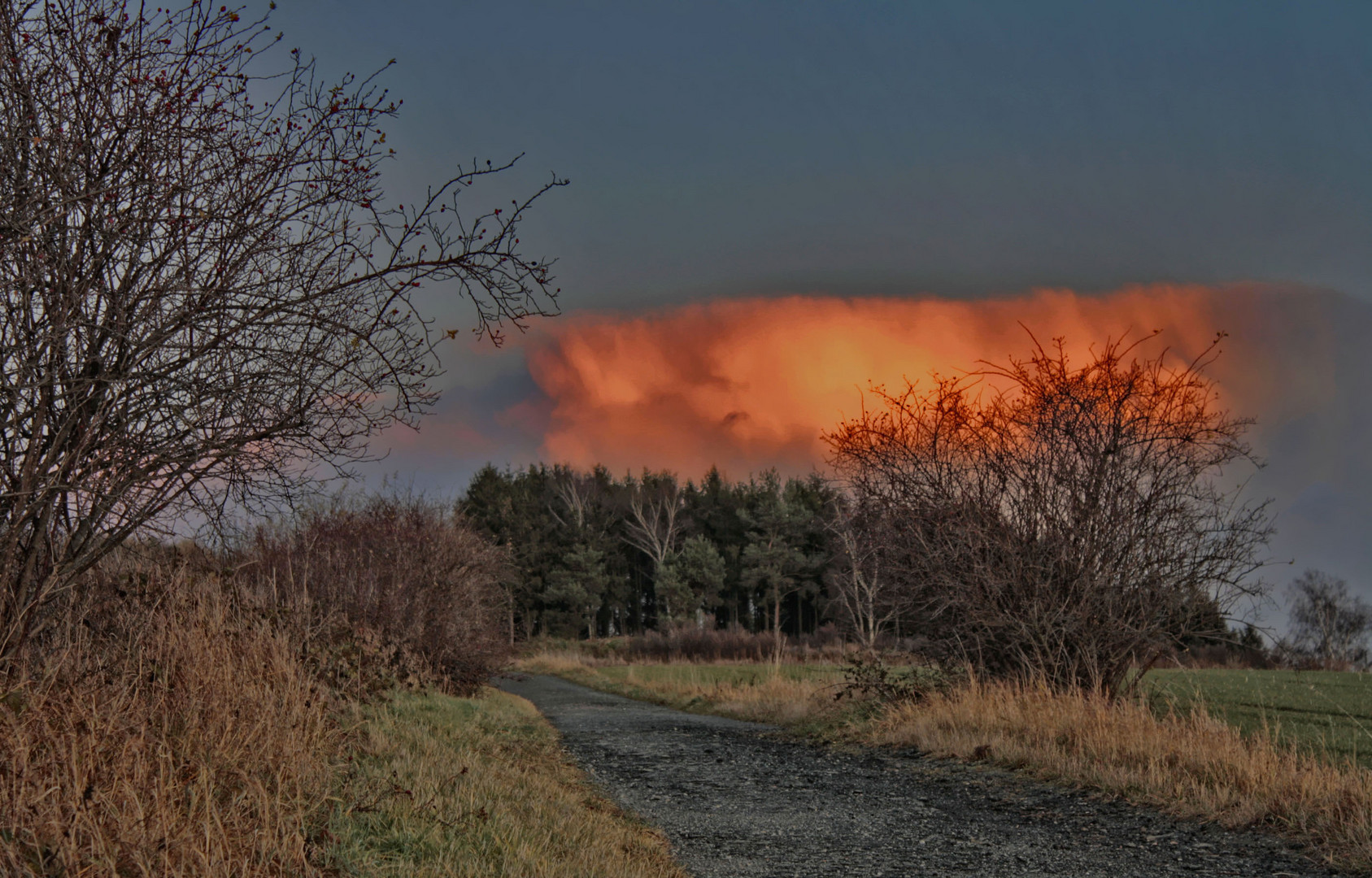 die rote wolke