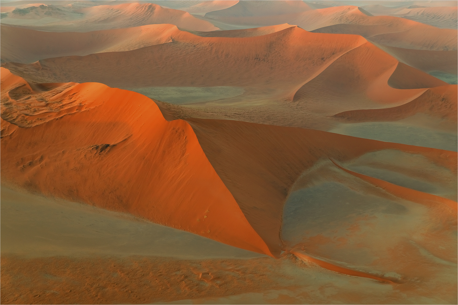 die roten Dünen der Namib
