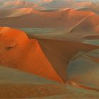 die roten Dünen der Namib