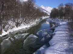 Die "Rotten" im Winter