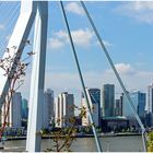 Die Rotterdamer Wolkenkratzer-Silhouette
