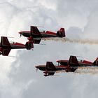 Die Royal Jordanian Falcons