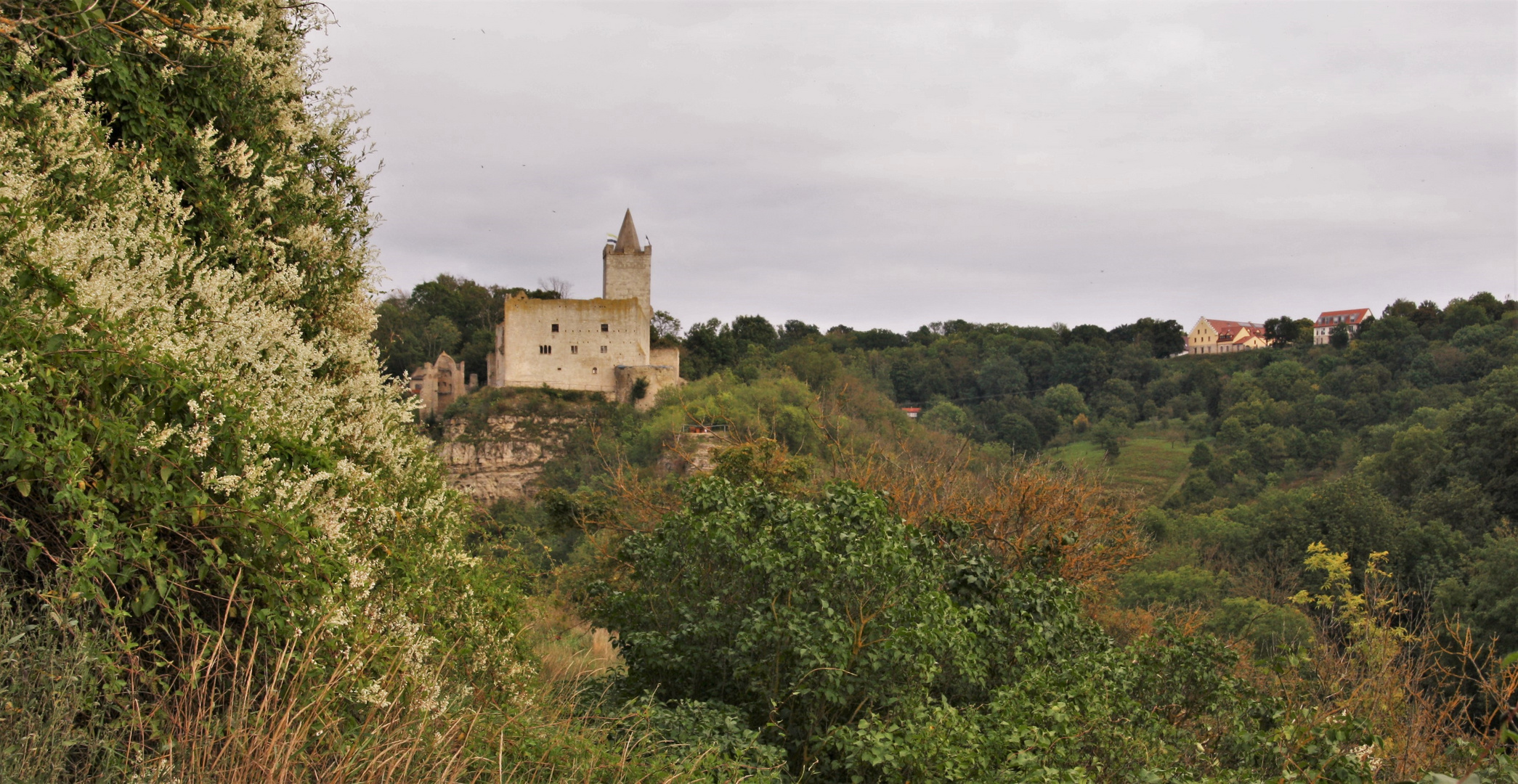 Die Rudelsburg 