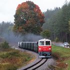 "Die Rückfahrt"