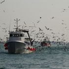 Die Rückkehr der Fischer # El regreso de los pescadores