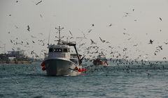 Die Rückkehr der Fischer # El regreso de los pescadores