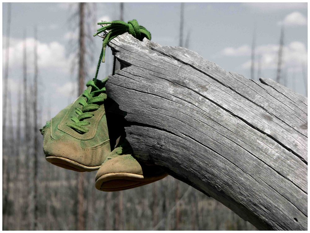 die rückkehr der grünen schuhe