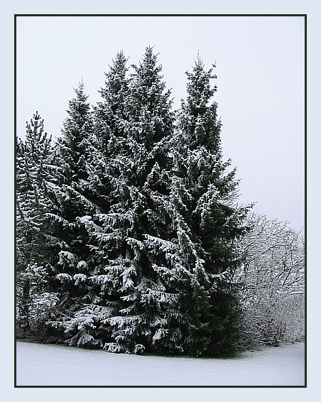 Die Rückkehr des Winters