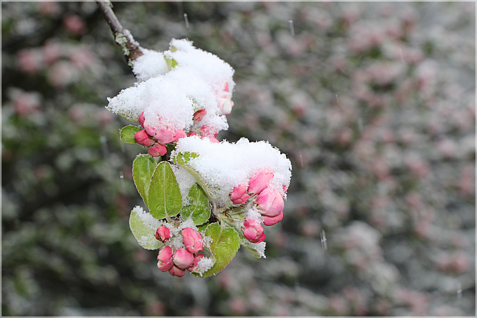 Die Rückkehr des Winters ...