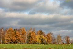 Die Rückseite des Friedhofs mit  Regenwolken