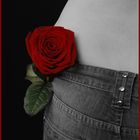 Die Rückseite einer Frau mit roten Rose