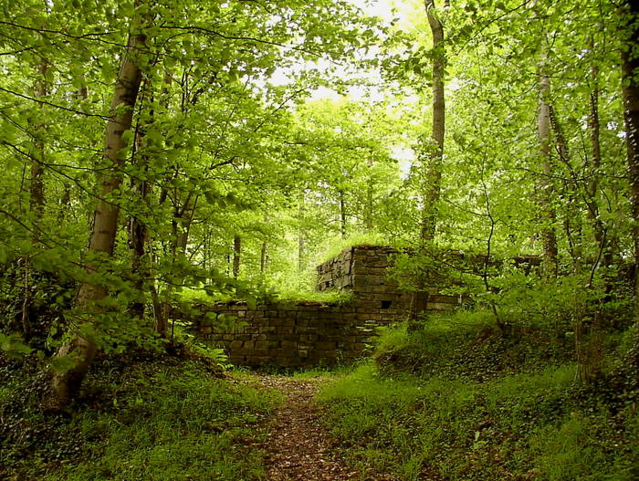 Die Rüdenburg ..