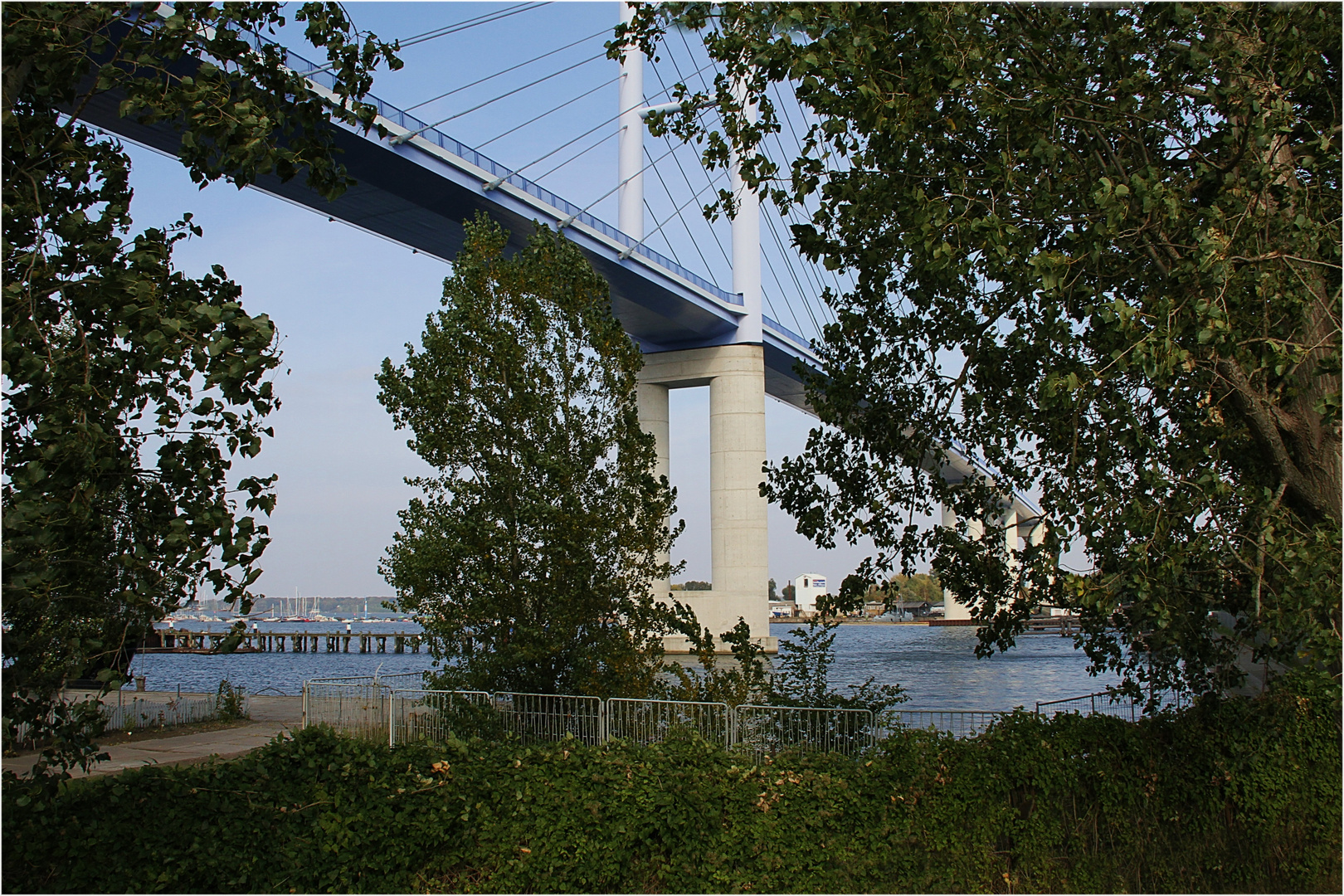 die Rügenbrücke ... aus neuer Sicht !