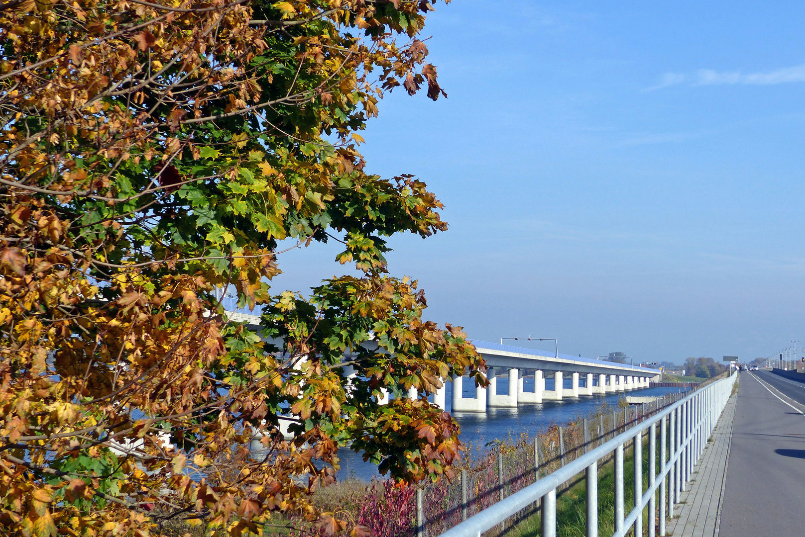 Die Rügenbrücken mit herbstlichem Touch