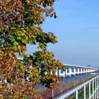 Die Rügenbrücken mit herbstlichem Touch