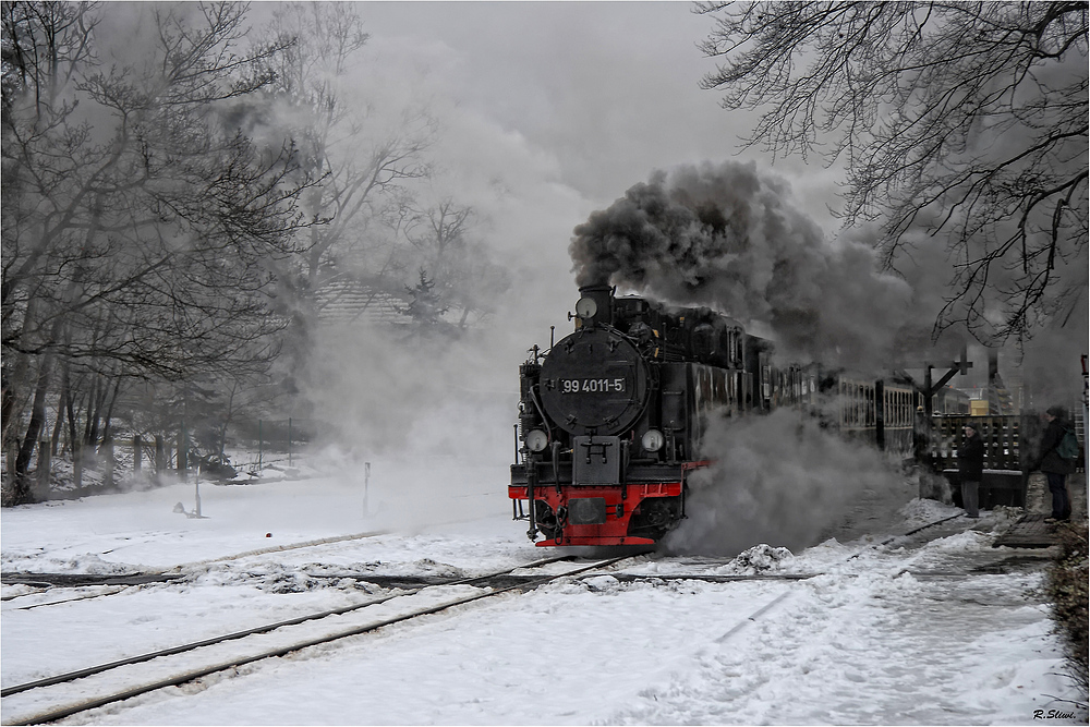 Die Rügensche Kleinbahn