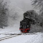 Die Rügensche Kleinbahn