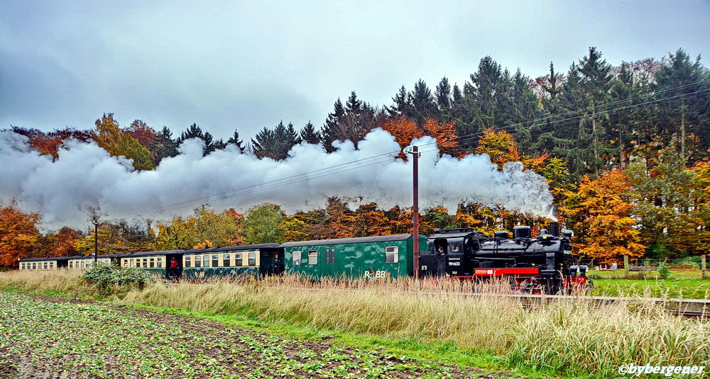 Die Rügensche Kleinbahn (Rasender Roland)