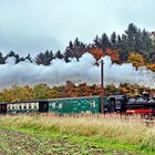 Die Rügensche Kleinbahn (Rasender Roland)