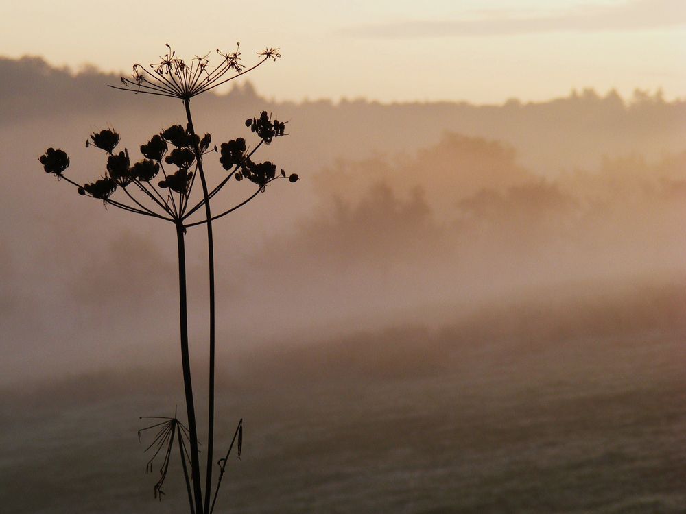 Die Ruhe am Morgen genießen