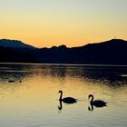 Die Ruhe am See ( Wörthersee)