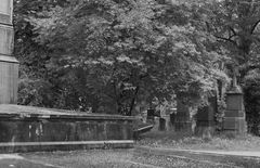 Die Ruhe beim Betrachten