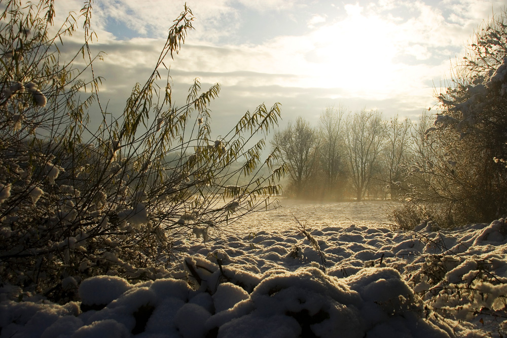 Die Ruhe der Natur