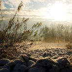 Die Ruhe der Natur