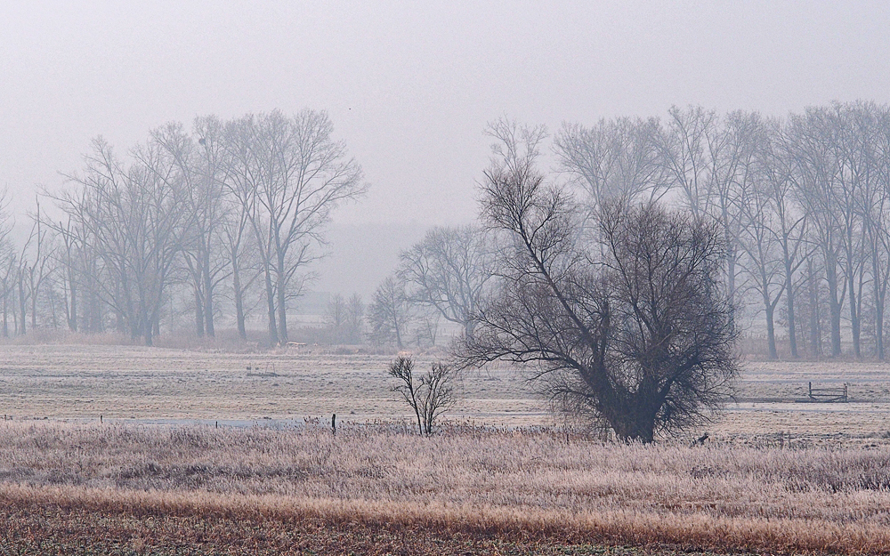 Die Ruhe der Natur