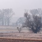 Die Ruhe der Natur