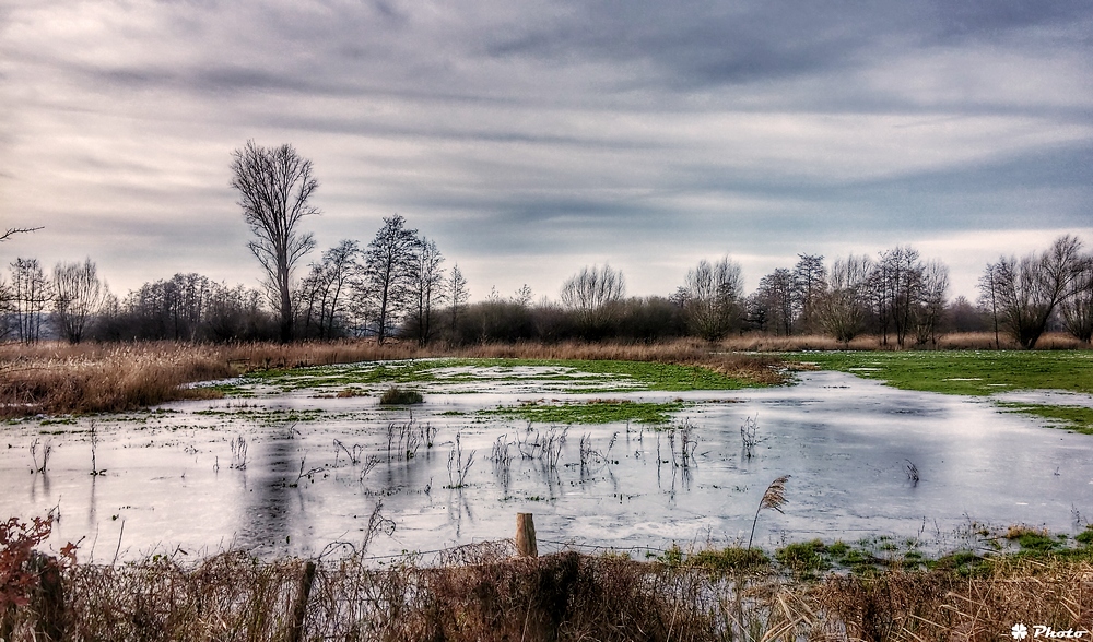 Die Ruhe der Natur