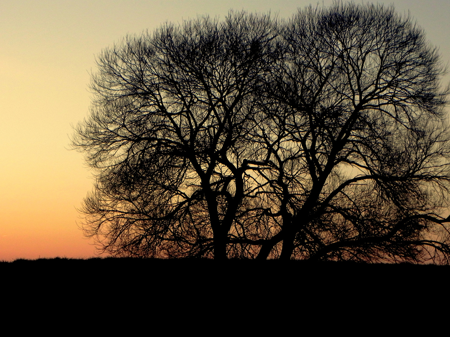 Die Ruhe des Abends.