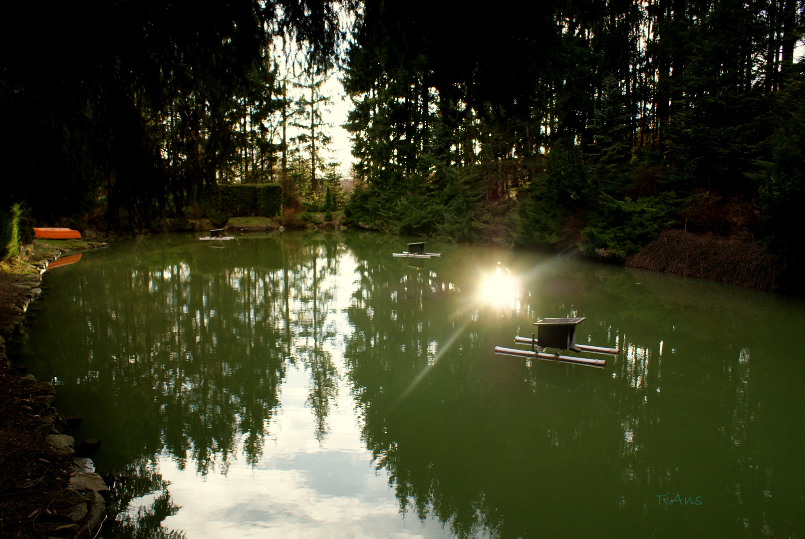 die ruhe des waldsees .....