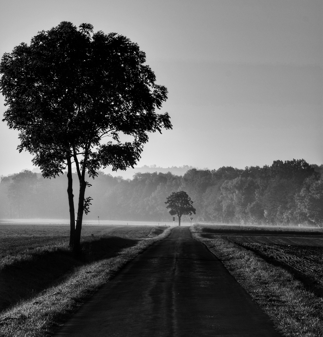 die-ruhe-foto-bild-landschaft-sonnenaufg-nge-cker-felder