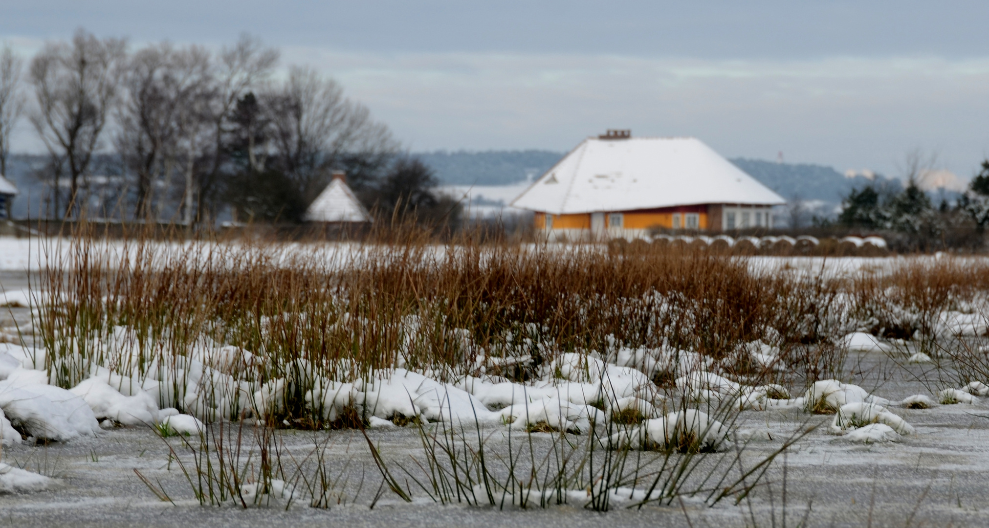 Die Ruhe im GRAS