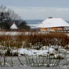 Die Ruhe im GRAS