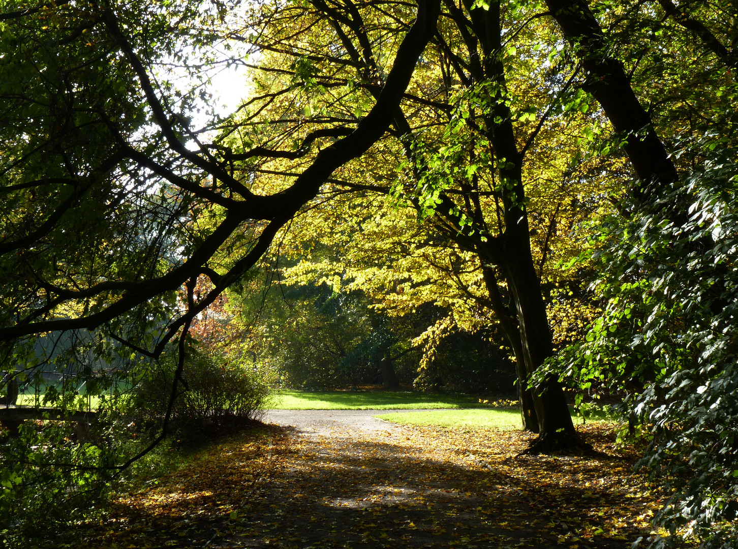 die Ruhe im Park