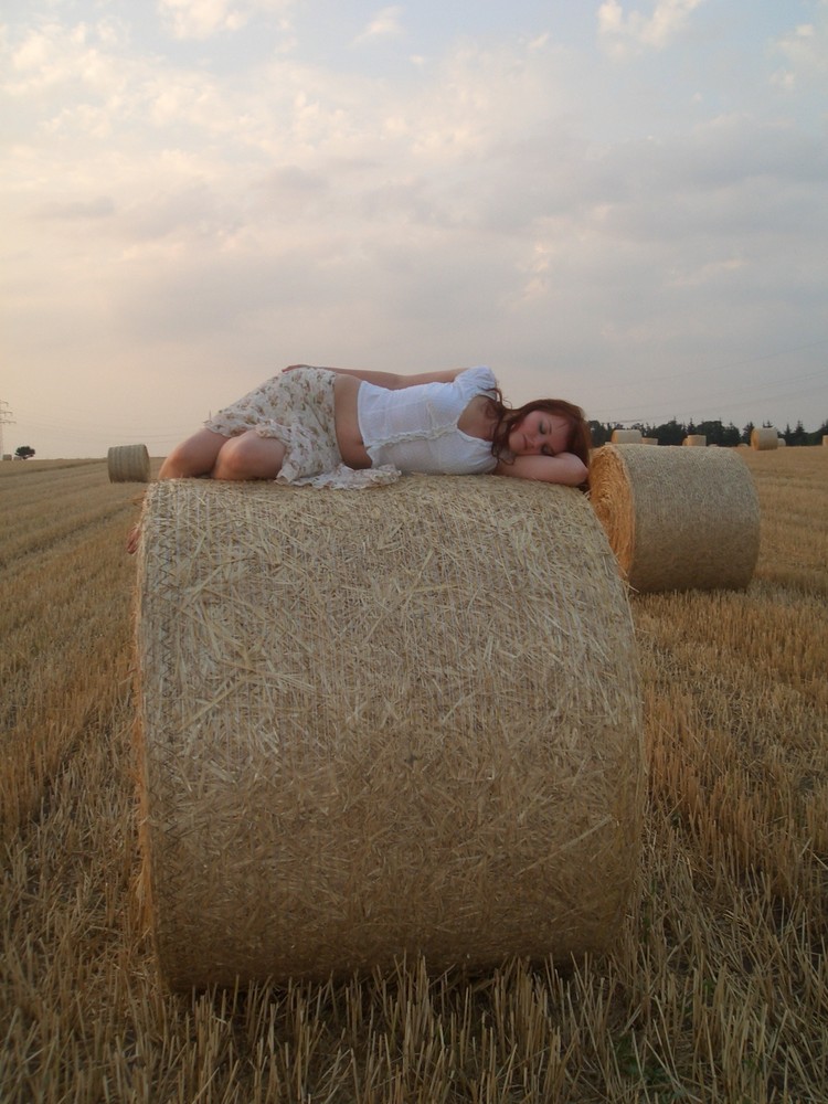 die ruhe im spätsommer